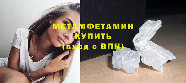 прущие грибы Пионерский