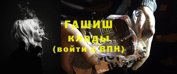шишки Туринск