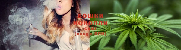 тгк Волосово