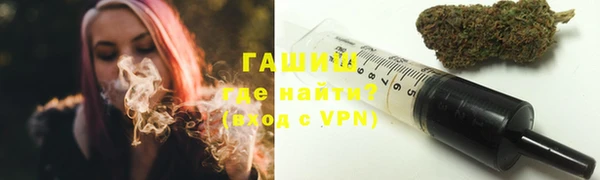 прущие грибы Пионерский