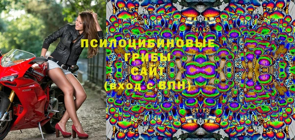 прущие грибы Пионерский