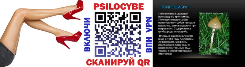 Галлюциногенные грибы Cubensis  shop официальный сайт  Славянск-на-Кубани 