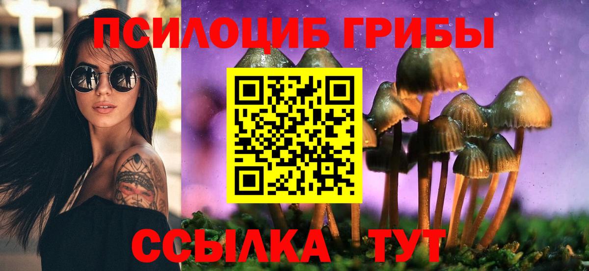 Галлюциногенные грибы GOLDEN TEACHER Славянск-на-Кубани