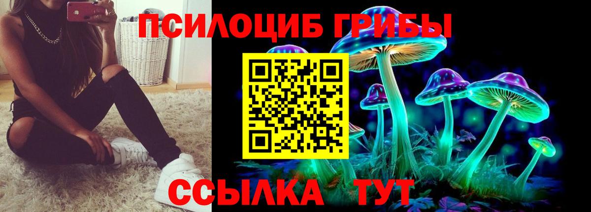 Псилоцибиновые грибы прущие грибы  Вход с VPN  Славянск-на-Кубани 